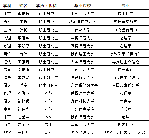 教师团队